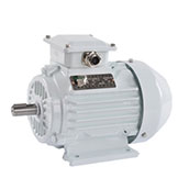3 phase 4 pole ac induction motor