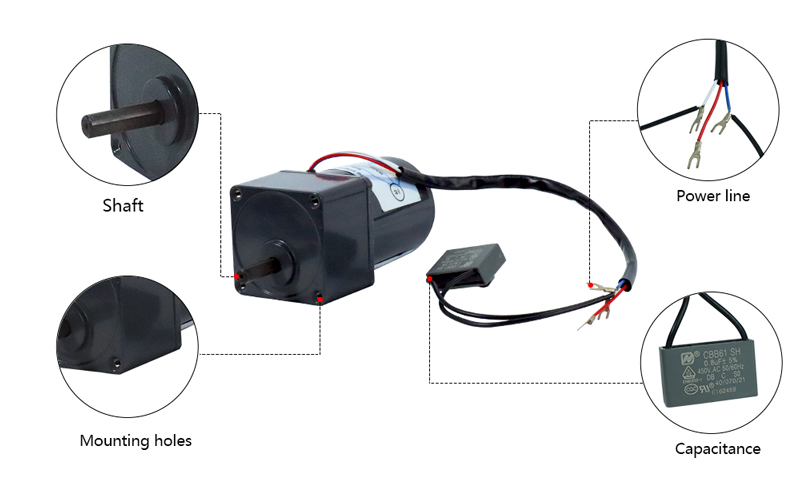 20W AC Gear Motor,Torque Motor with Gearbox Details