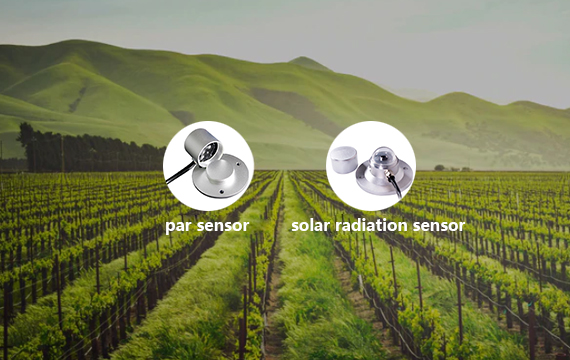 PAR sensor and solar radiation sensor