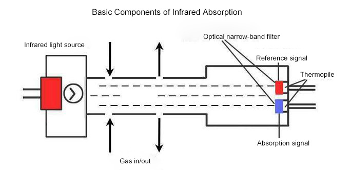 Basic Components of Infrared Absorption