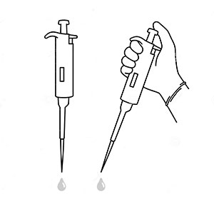 Using pipettes