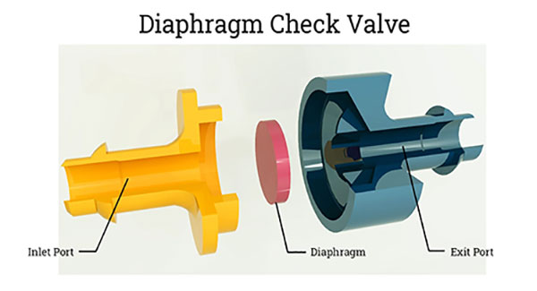 Diaphragm check valve structure
