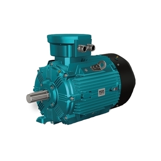 Explosion proof motor