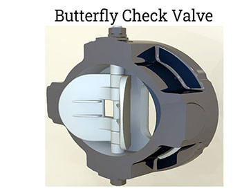 Inside structure of butterfly check valve