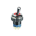 Lighted toggle switch