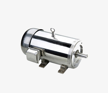 Stainless steel motor