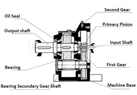 Structure of the DC servo motor