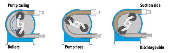 Working principle of peristaltic pump