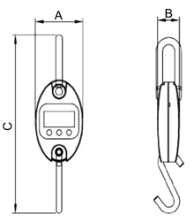 Crane scale