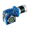 DC worm gear motor