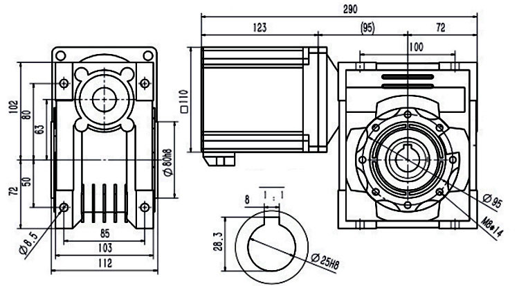 Dimensions of 1000 W DC Worm Gear Motor