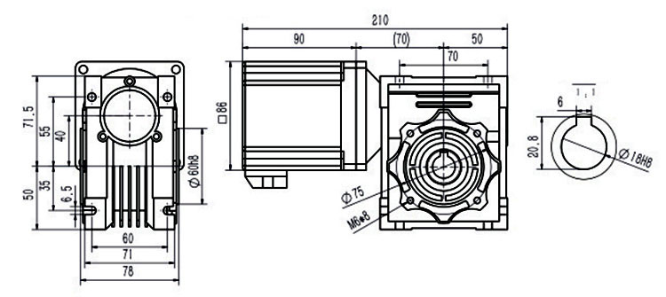 Dimensions of 300 W DC Worm Gear Motor