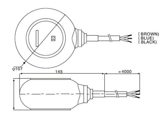Dimensions of Cable Float Switch