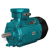 Explosion proof motor