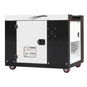 Portable diesel generator