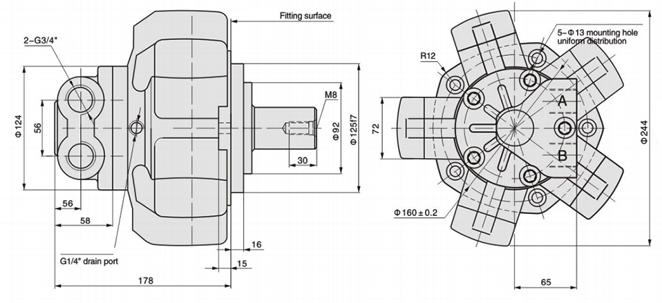 Dimensions of 10 hpradial piston hydraulic motor