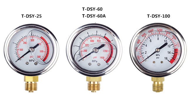 Electric pressure test pump pressure gauge diagram 0.2 hp