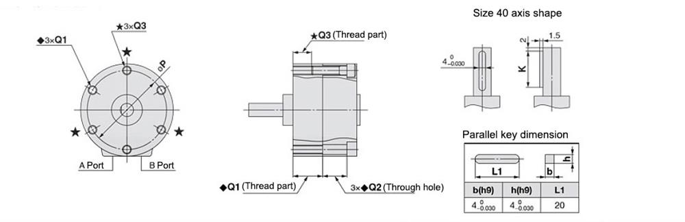 Rotary vane cylinder dimension