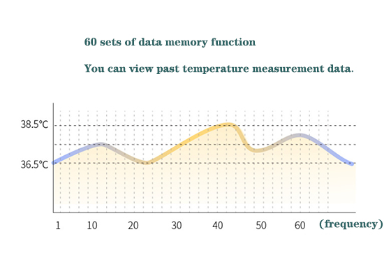 Wall mounted thermometer data memory