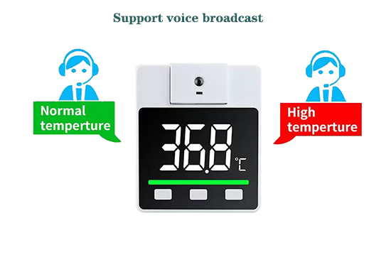 Wall mounted thermometer voice function
