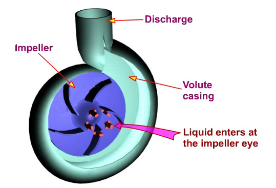 Working principle of centrifugal pump