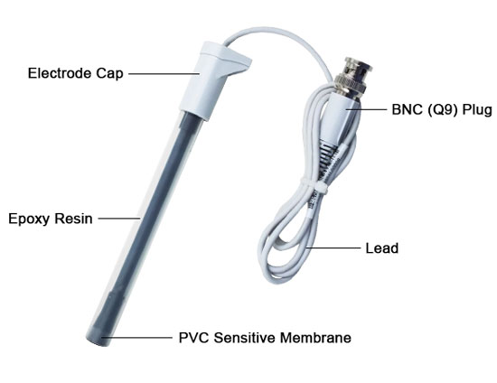 Ammonium ion selective electrode detail