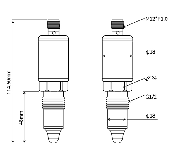 capacitive level switch