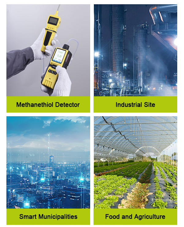ch3sh gas sensor application