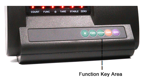Electronic weighing scale indicator detail front view