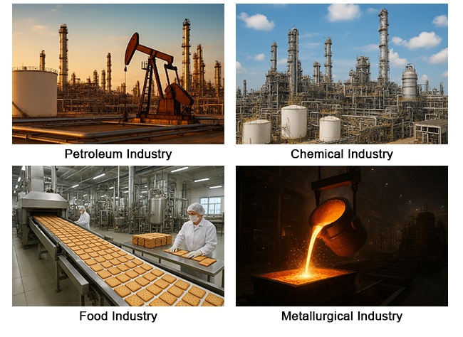 Guided wave radar level transmitter application