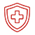 Icon health insurance