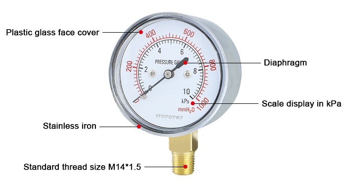 Low pressure capsule gauge detail
