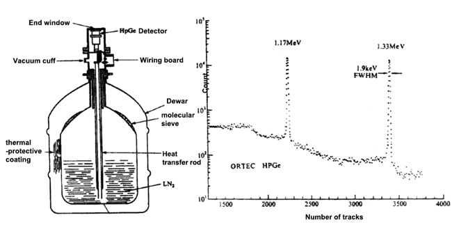 Semiconductor detector