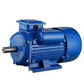 Single phase induction motor