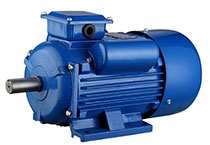 Single phase induction motor