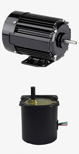 Synchronous and induction motor