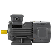 Variable speed motor