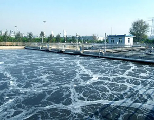 Water treatment and environmental cleanup