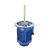 Picture of 180/250W 160mm Long Shaft Induction Motor, 2700 rpm