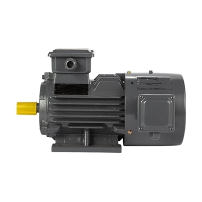 5.5hp (4kW) Variable Speed Motor, 3 Phase, 2P/ 4P/ 6P