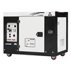 Picture of 9kW (11kVA) Silent Diesel Generator, 1 Phase/3 Phase