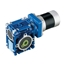 Picture of 50 W DC Worm Gear Motor, 12V/24V