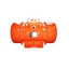 Picture of 500W Explosion Proof Vibration Motor, 2 pole