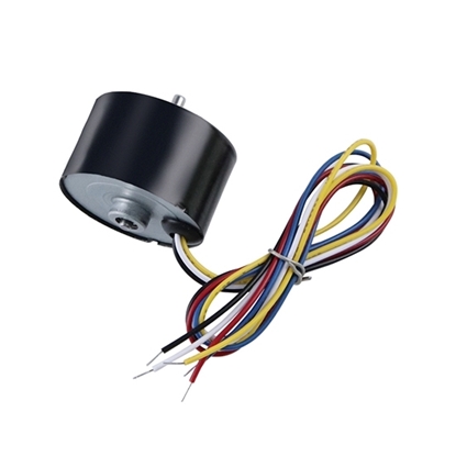 3000 rpm 12V 24V Small Brushless DC Motor