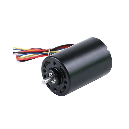 8000 rpm 12V 24V Small Brushless DC Motor