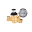 Picture of Adjusting RV Water Pressure Regulator with Gauge