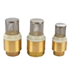 Picture of 1 inch Brass Foot Valve for Water Pump