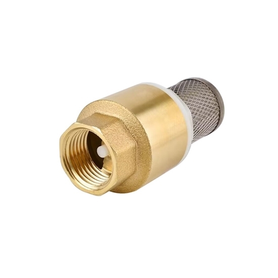 thumbnail image 2 of Buy Brass Foot Valve Strainer Complete Set With Hose Barb - MyDeal 2 of 13