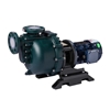 Picture of 2 hp Self Priming Centrifugal Pump, 2 Pole