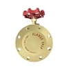 Picture of 1 Inch Brass Gate Valve, DN25